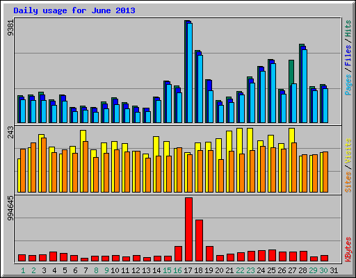 Daily usage for June 2013