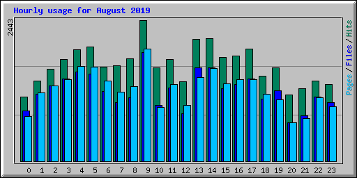 Hourly usage for August 2019